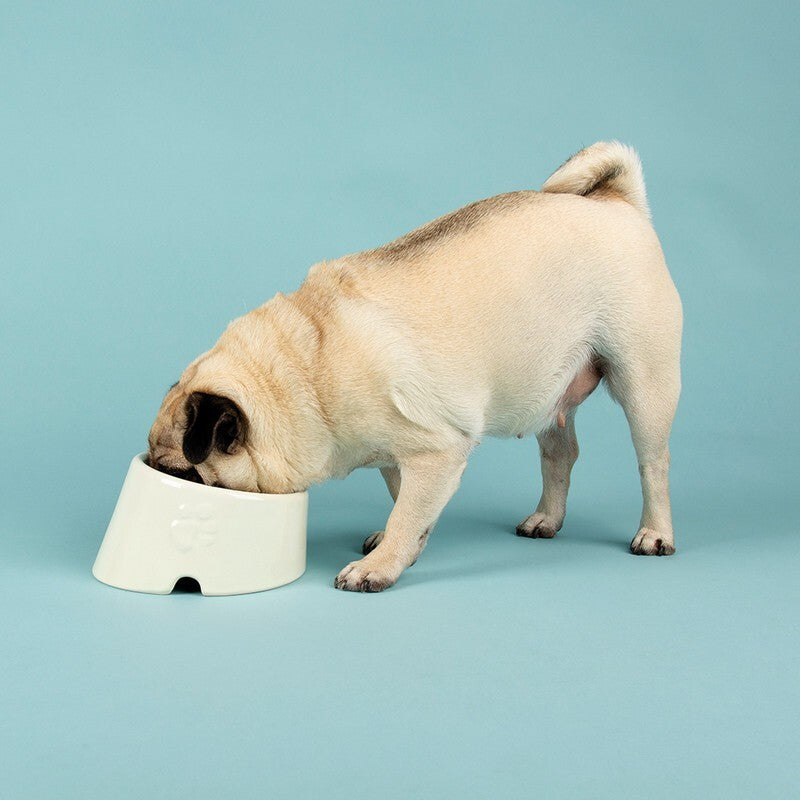 Scruffs Icon Flat Faced / Slanted Bowl 18cm