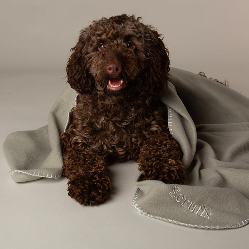 Scruffs Expedit Blanket Grey 100x75cm