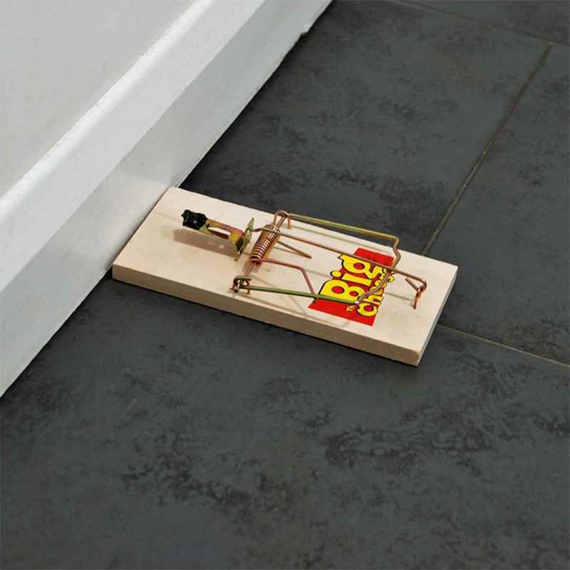 Big Cheese Traditional Wooden Mouse Trap 4 pack
