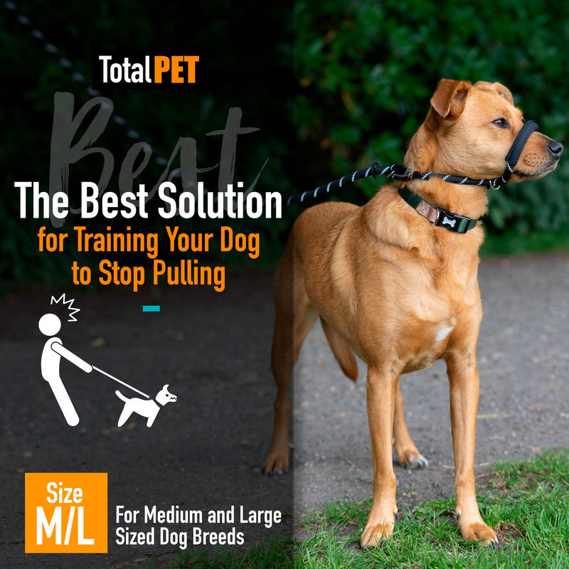 Total Pet Figure 8 Rope Medium/Large Dog Lead Black