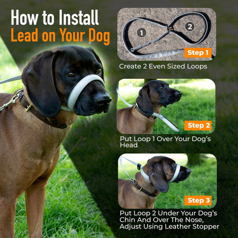 Total Pet Swivel Flat Figure 8 Dog Lead 210cm