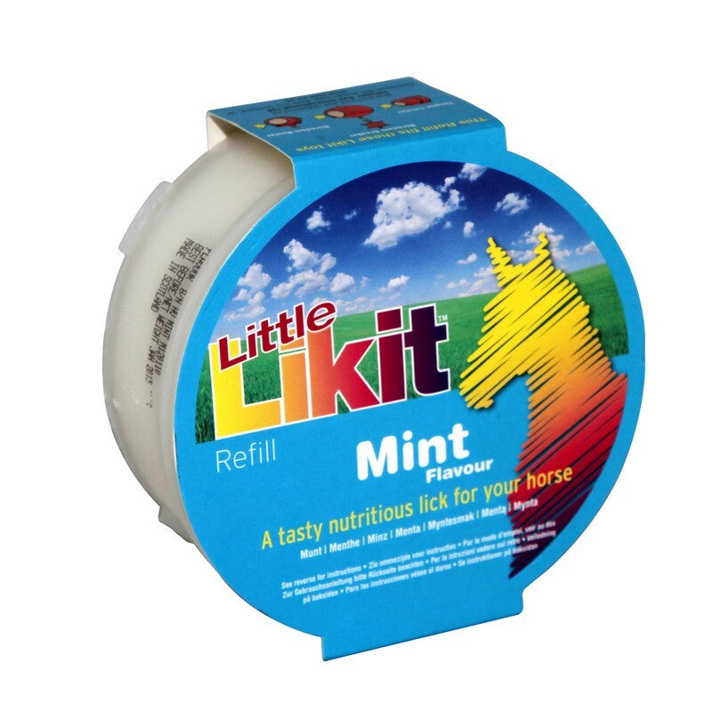 Likit Little Likit Refill Mint 250g