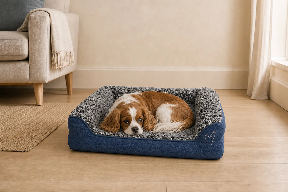 Gor Pets Noodle Dog Bed Medium Blue