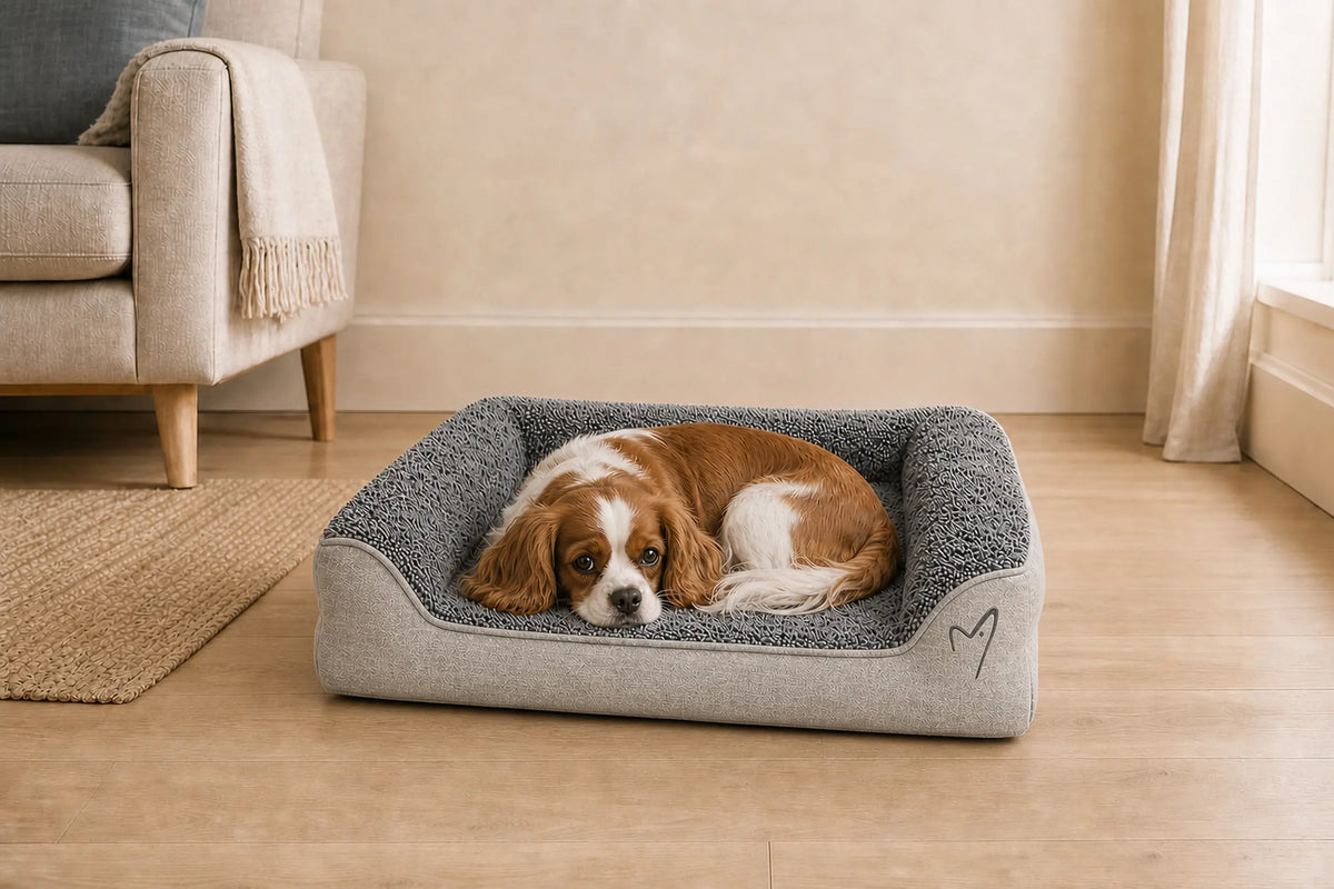Gor Pets Noodle Dog Bed Large Grey
