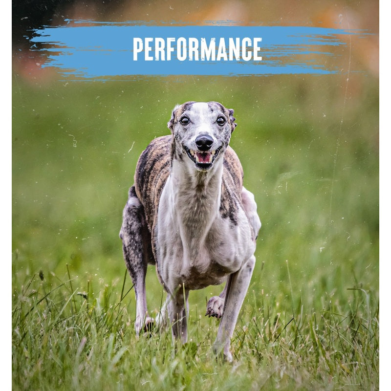 Alpha Adult Performance Chicken with Rice 15kg