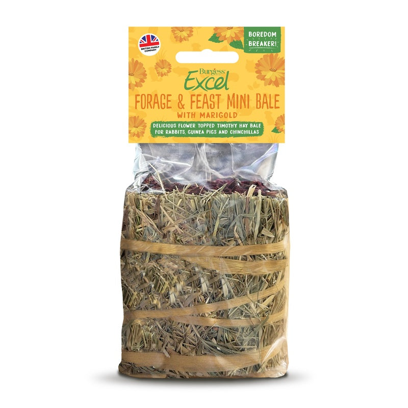 Burgess Excel Forage & Feast Mini Bale Marigold 100g x 8