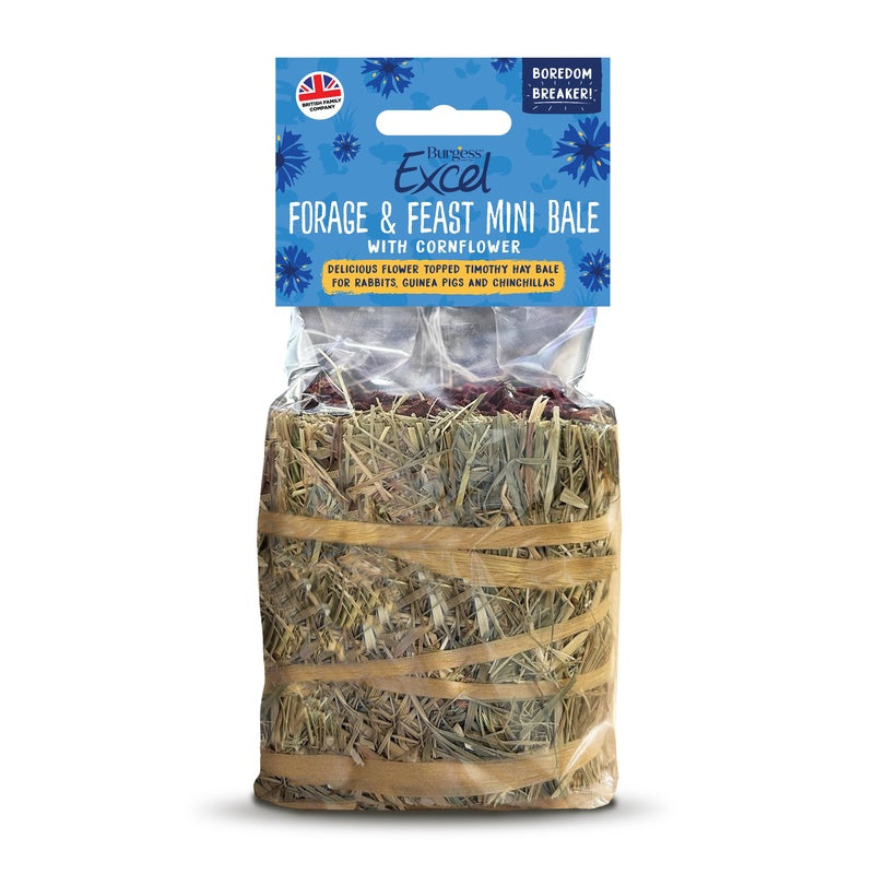 Burgess Excel Forage & Feast Mini Bale Cornflower 100g x 8