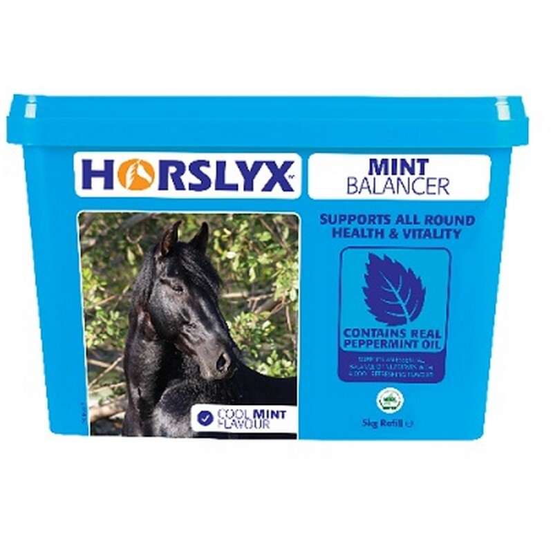 Horslyx Mint Lick Refill 5kg