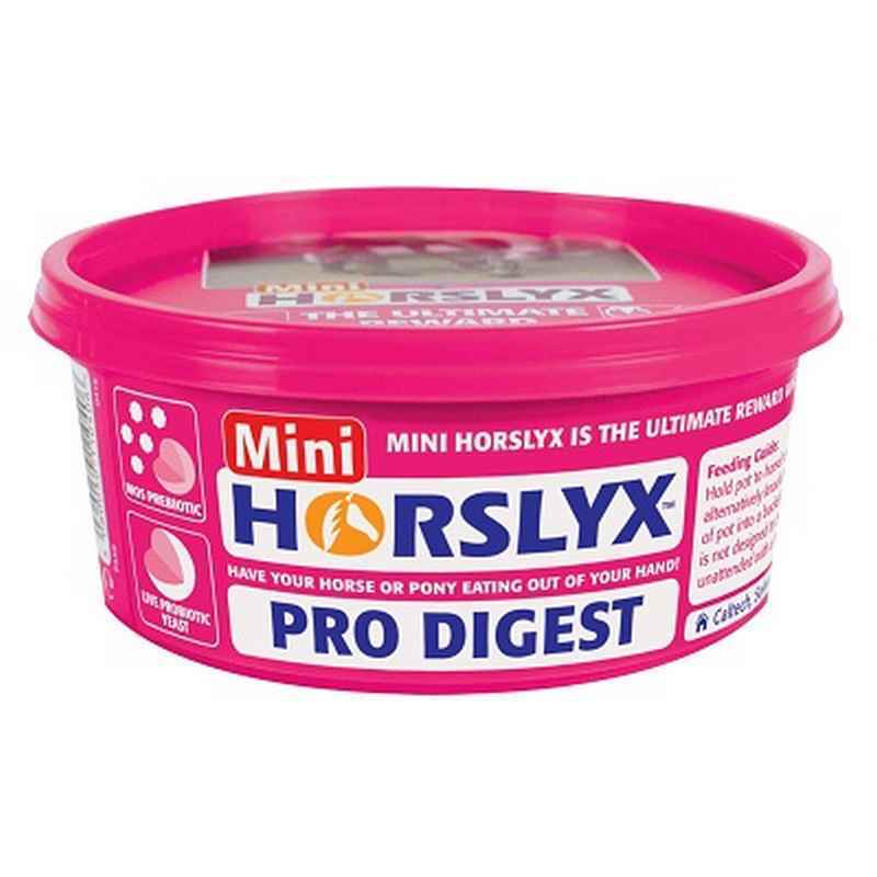 Horslyx Minilick Pro Digest Balancer Lick 650g x 12