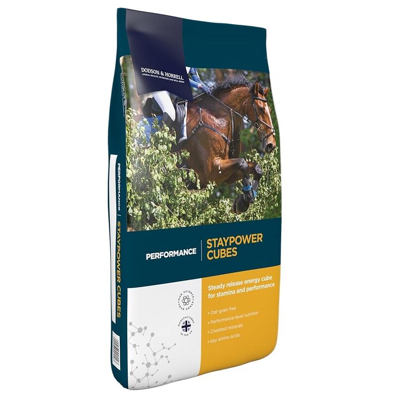 Dodson & Horrell Staypower Cubes 20kg