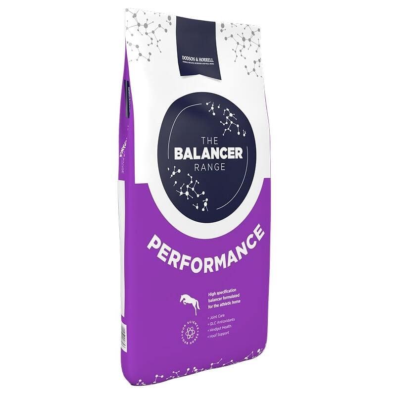 Dodson & Horrell Performance Balancer 15kg