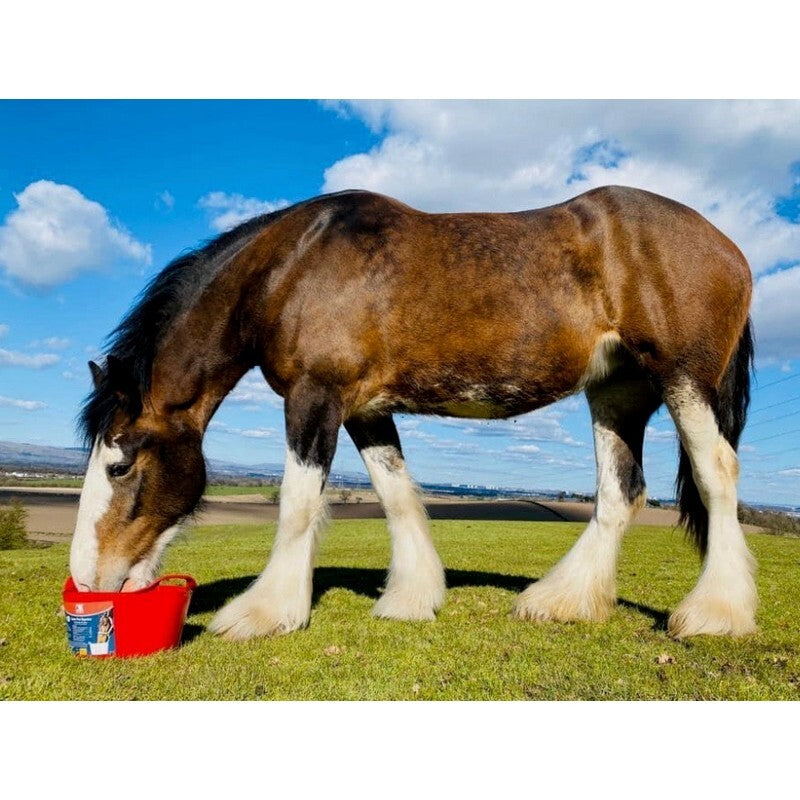 Dallas Keith Equine Flexi Tub For Digestion 12.5kg