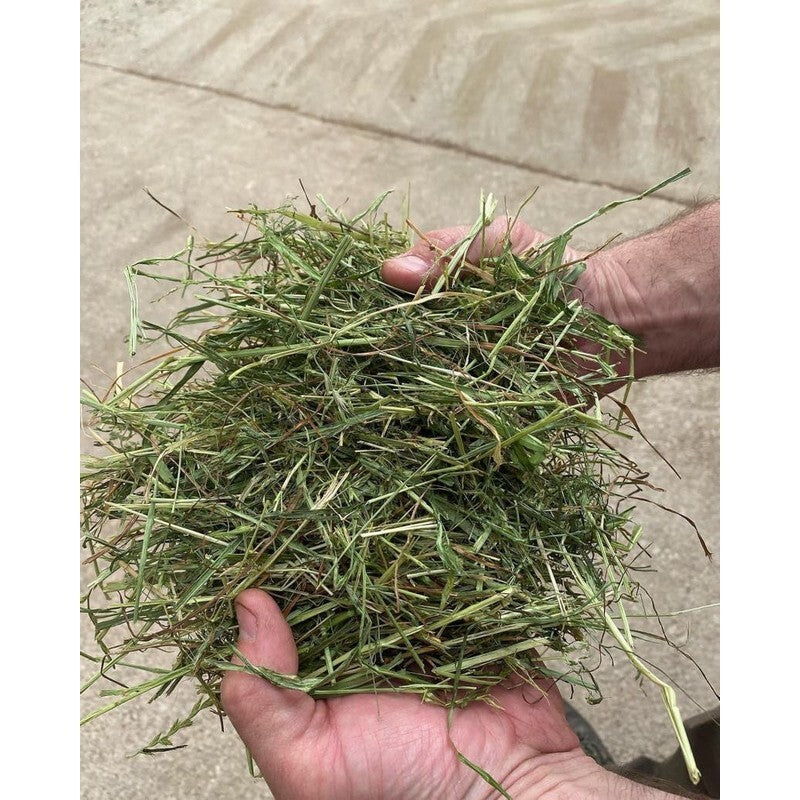 Fearns Farm Premium Dried Grass 10kg
