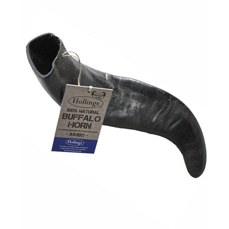 Hollings Buffalo Horn Jumbo Dog Chew x 8 Display Box
