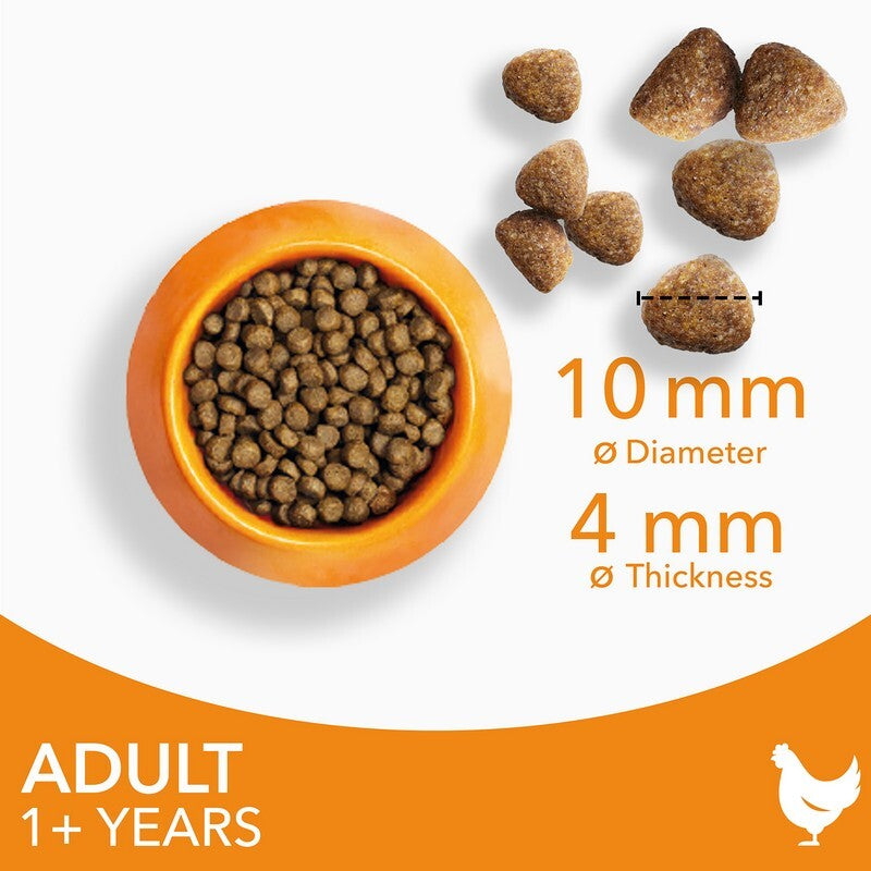 Iams Cat Adult with Chicken 10kg