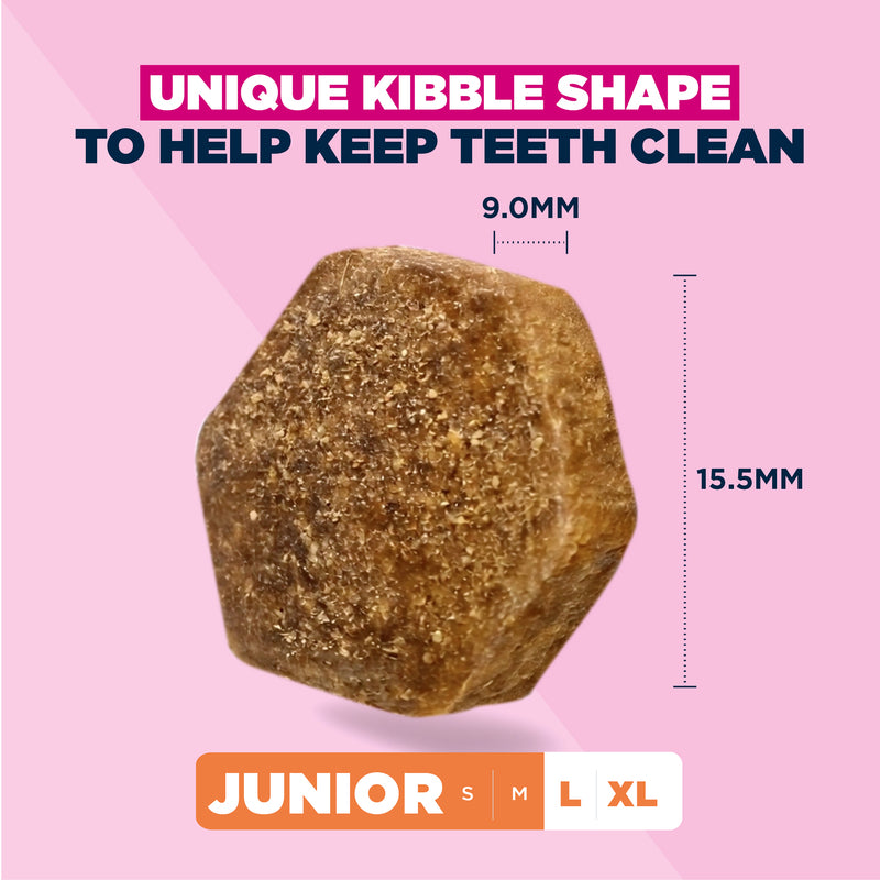 Eukanuba Junior Large Breed Chicken 12kg