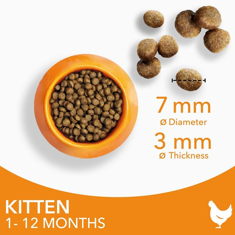 Iams Kitten with Chicken 2kg x 2