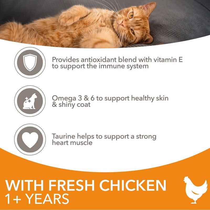 Iams Cat Adult with Chicken 2kg x 2