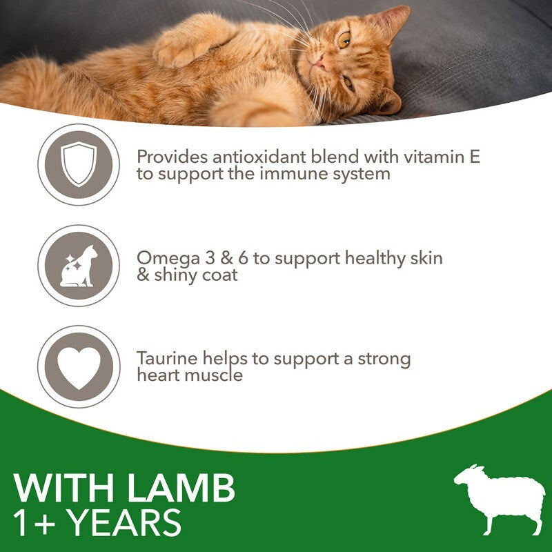 Iams Cat Adult with Lamb 2kg x 2