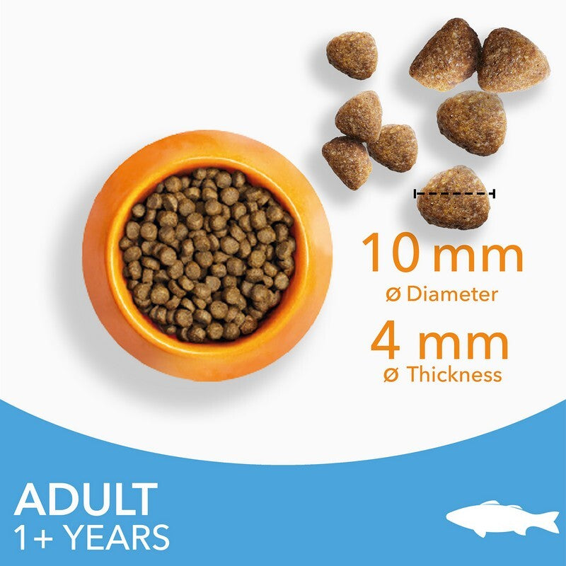 Iams Cat Adult with Ocean Fish 2kg x 2