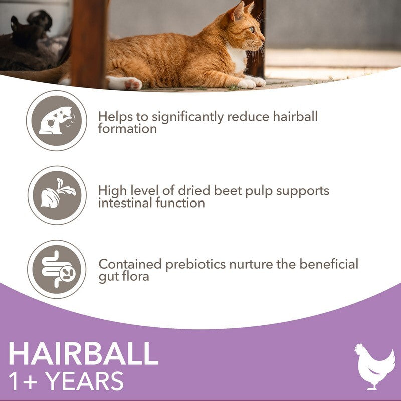 Iams Cat Adult Hairball Chicken 2kg x 2