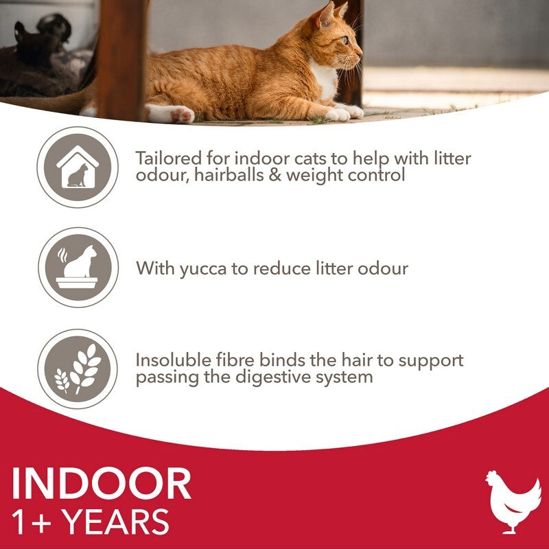 Iams Cat Adult Indoor with Chicken 2kg x 2