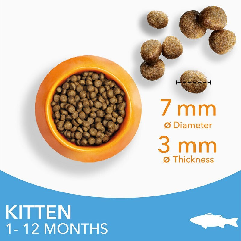 Iams Kitten with Ocean Fish 2kg x 2