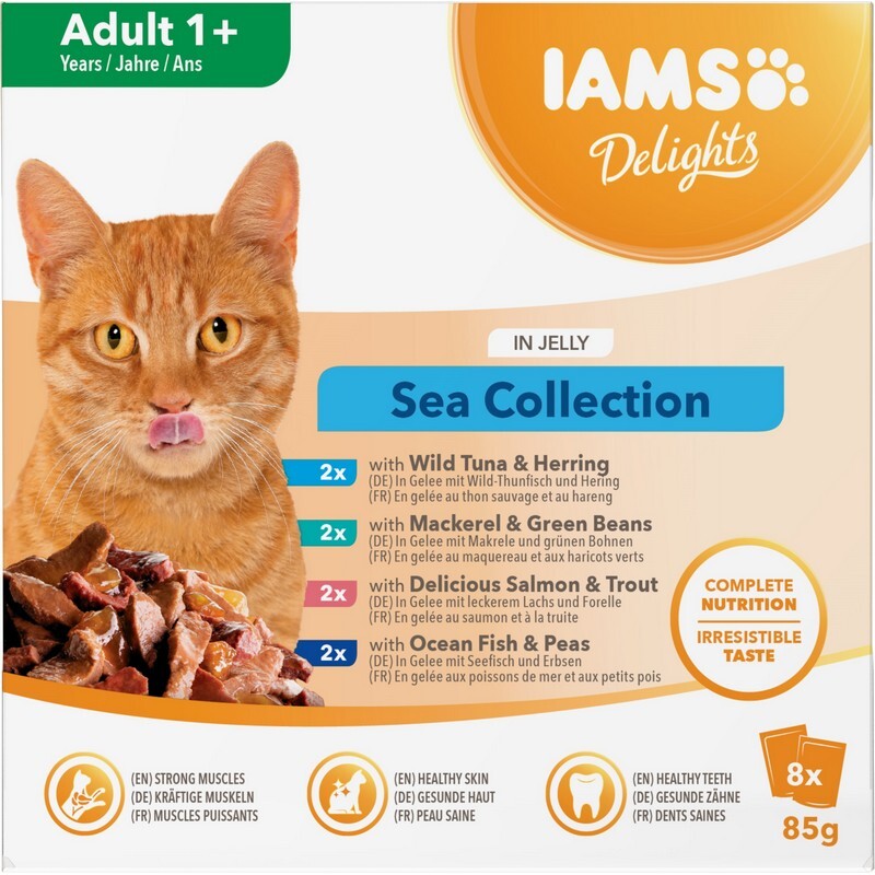 Iams Delight Adult Sea Collection in Jelly 85g x 8