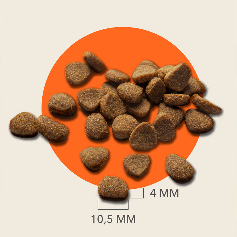 Iams Cat Senior with Tuna 2kg x 2