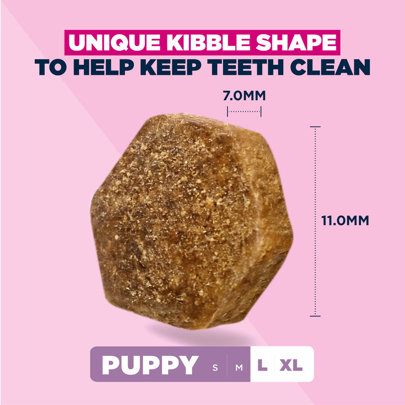 Eukanuba Puppy Large Breed Chicken 3 kg x 3