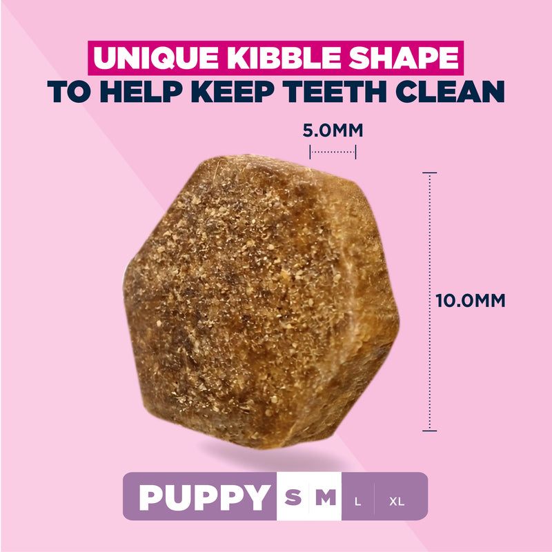 Eukanuba Puppy Small/Medium Breed Lamb 3 kg x 3