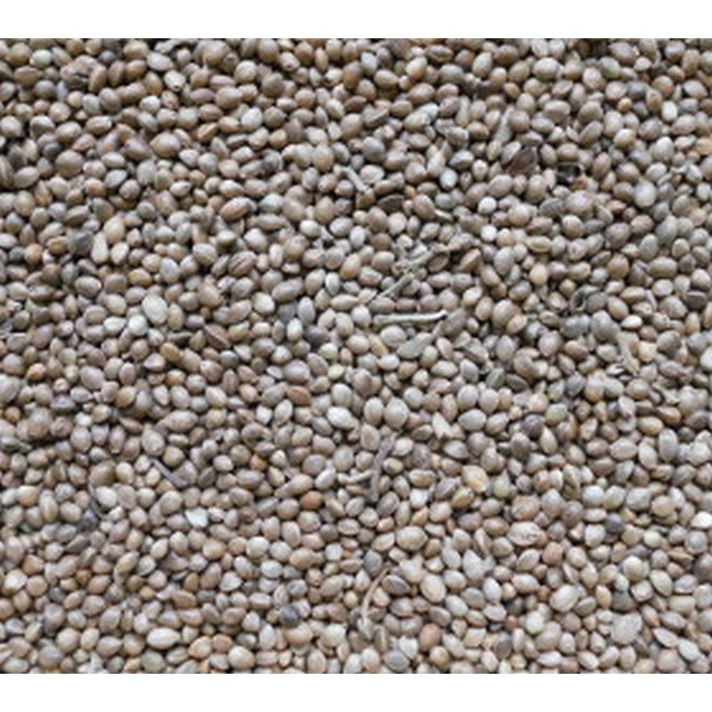 Johnston & Jeff Hemp Seed 12.5kg
