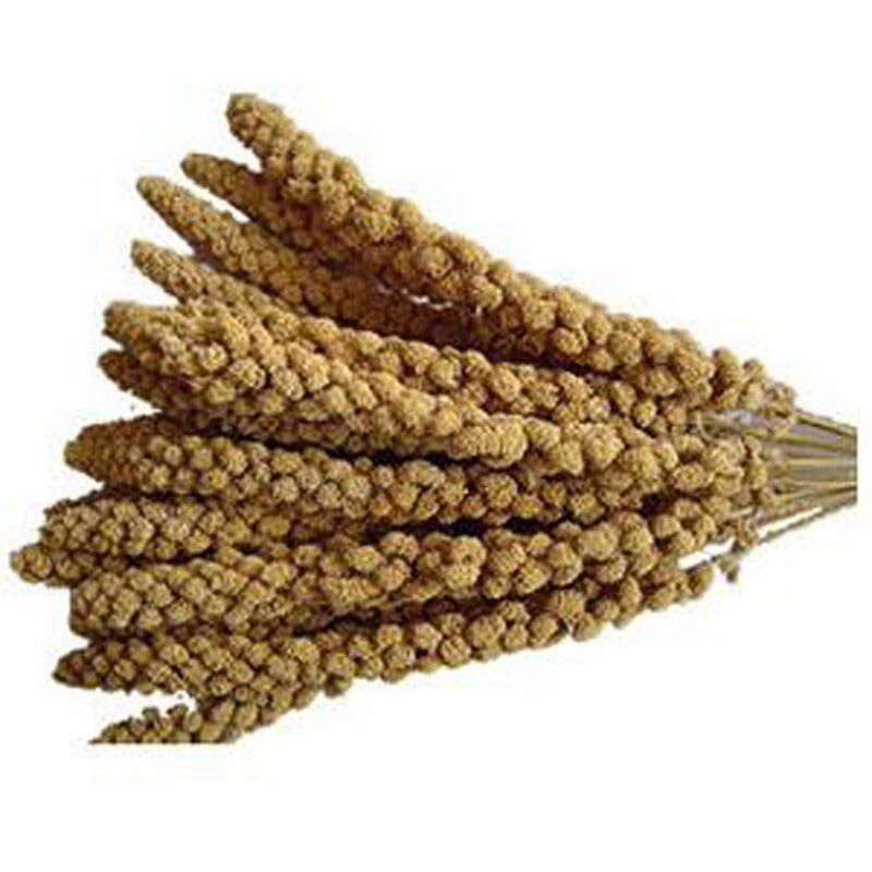 Johnston & Jeff Millet Spray Bird Treat 15kg