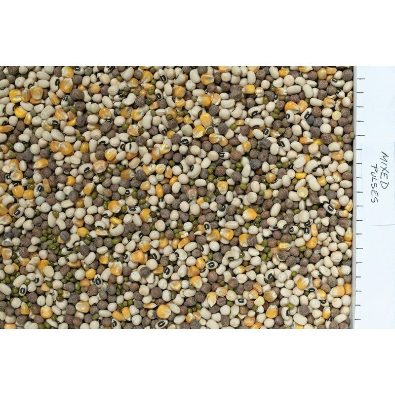 Johnston & Jeff Mixed Pulses 12.5kg