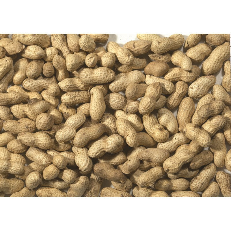 Johnston & Jeff Monkey Nuts 650g x 6
