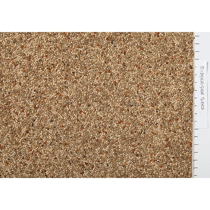 Johnston & Jeff Expert Budgerigar Seed 3kg