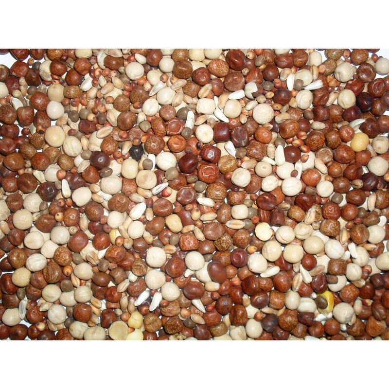 Johnston & Jeff Young Bird No Maize Pigeon Corn 20kg