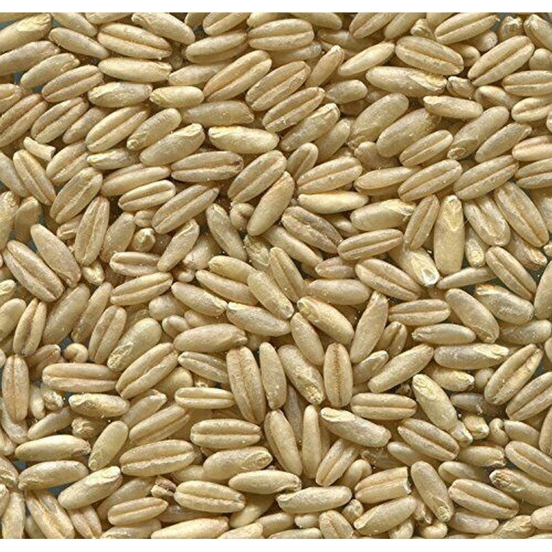 Johnston & Jeff Naked Oats 20kg