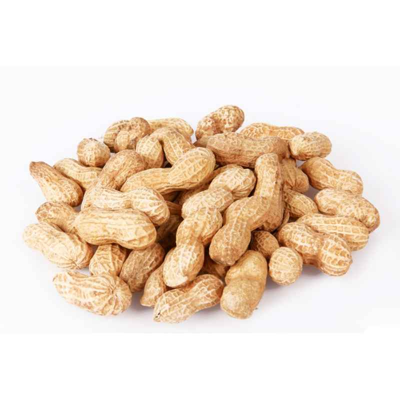 Johnston & Jeff Monkey Nuts 10kg