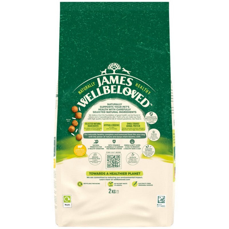 James Wellbeloved Senior Lamb & Rice 2kg
