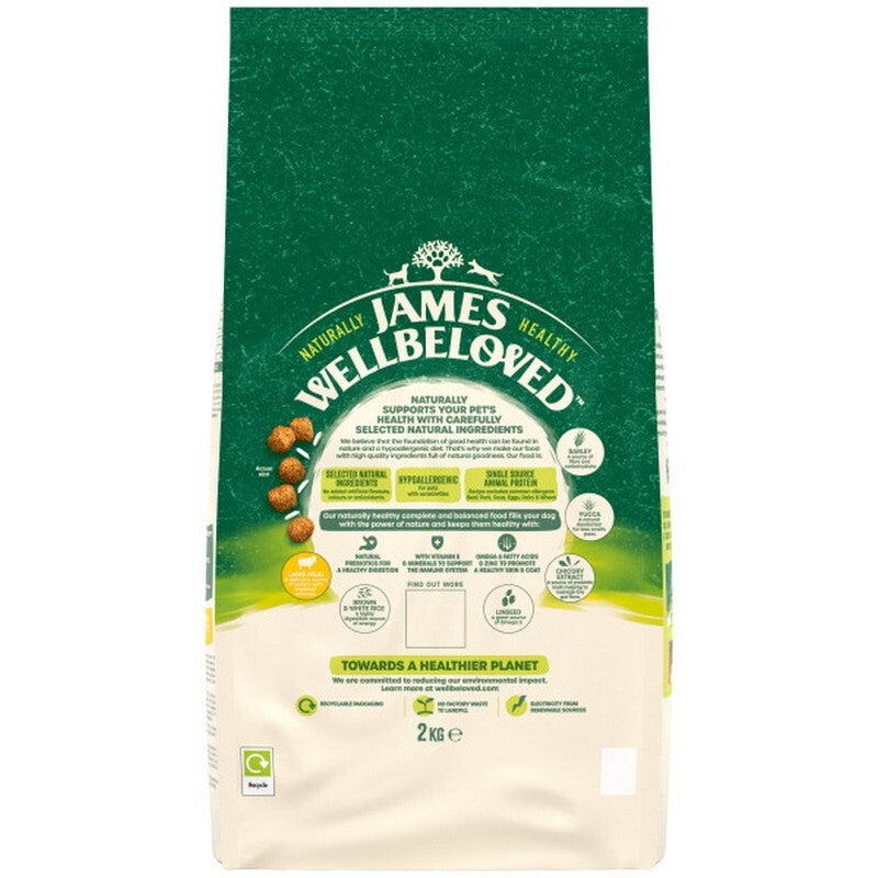 James Wellbeloved Adult Lamb & Rice 2kg