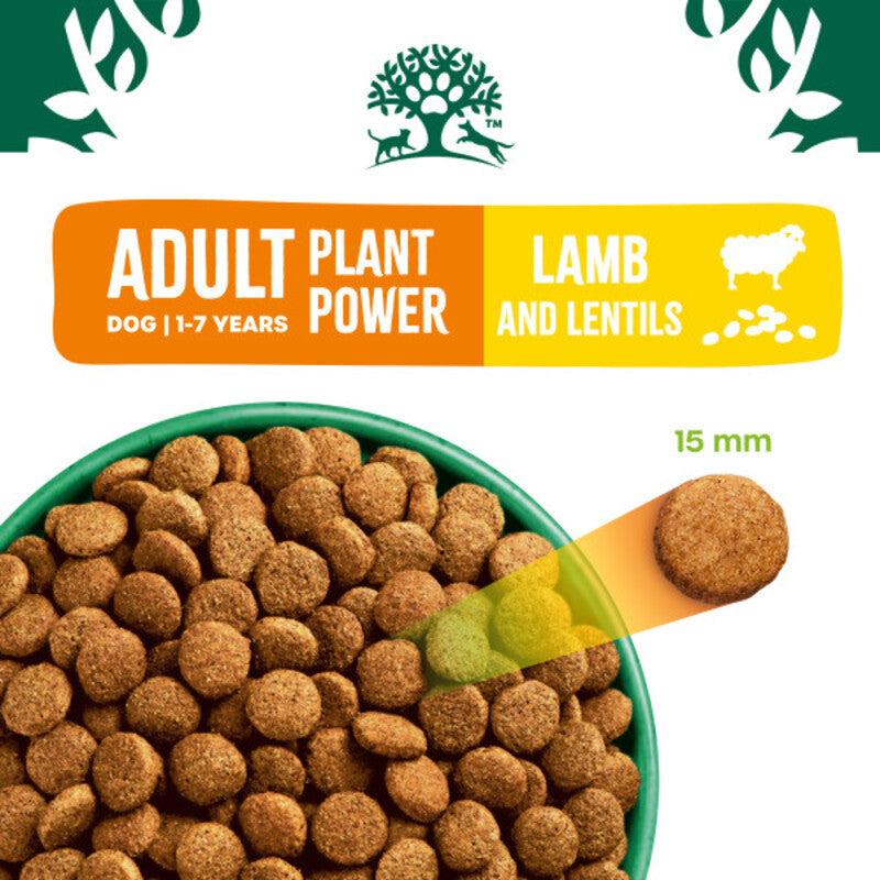 James Wellbeloved Adult Plant Power with Lamb 1.5kg