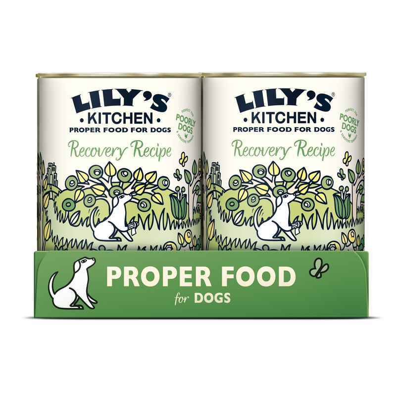 Lilys Kitchen Recovery Recipe Tins 400g x 6