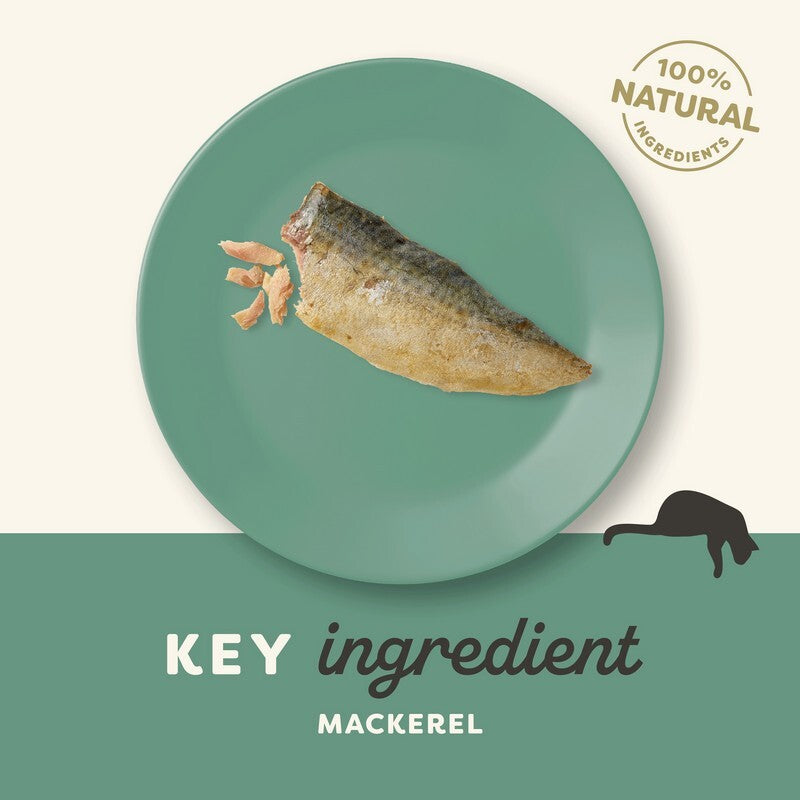 Applaws Cat Mackerel Loin Treats 30g x 12