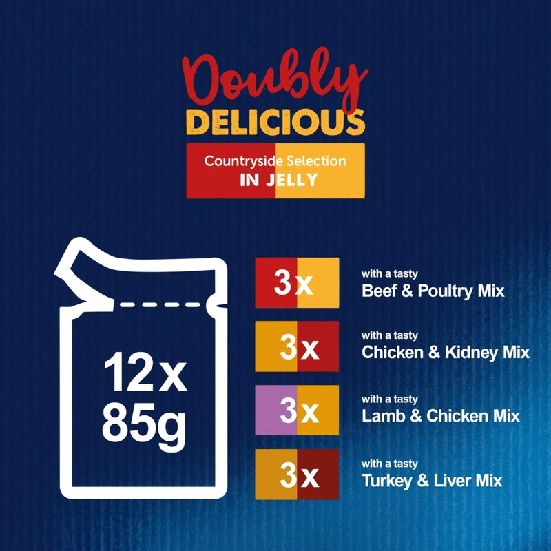 Felix Adult AGAIL Pouches Doubly Delicious Meat 85g x 12 x 4