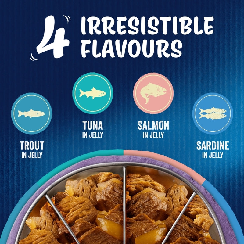 Felix Senior AGAIL Pouches 7+ Fish 85g x 40