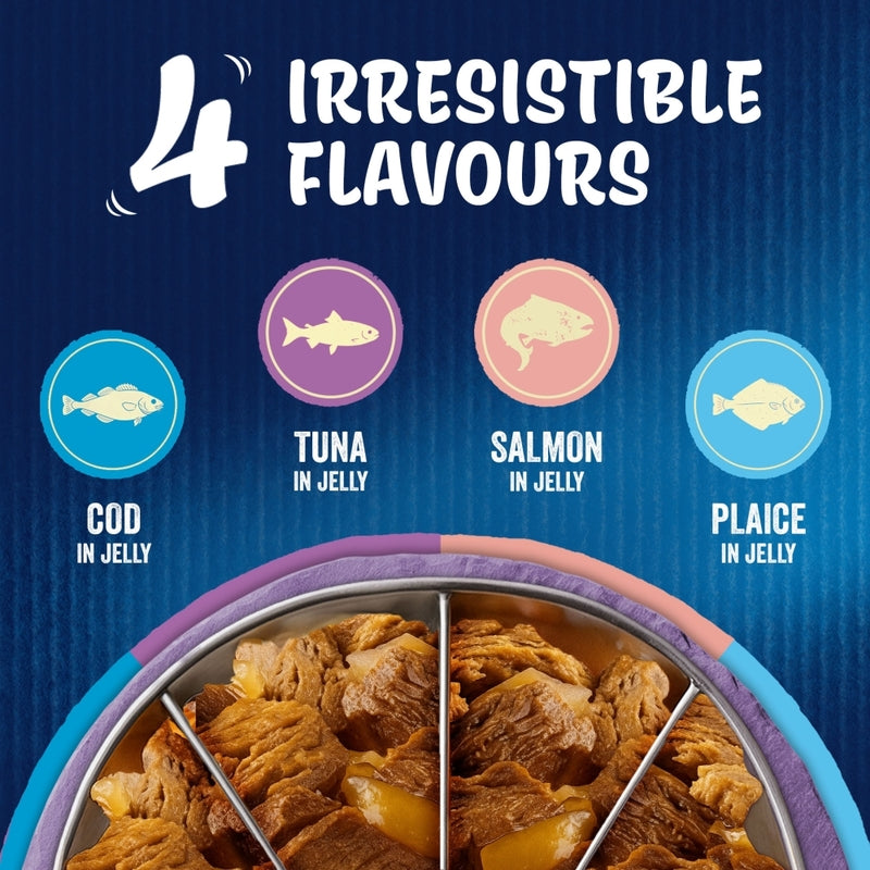 Felix Adult AGAIL Pouches Ocean Feast Chunks In Jelly 85g x 80