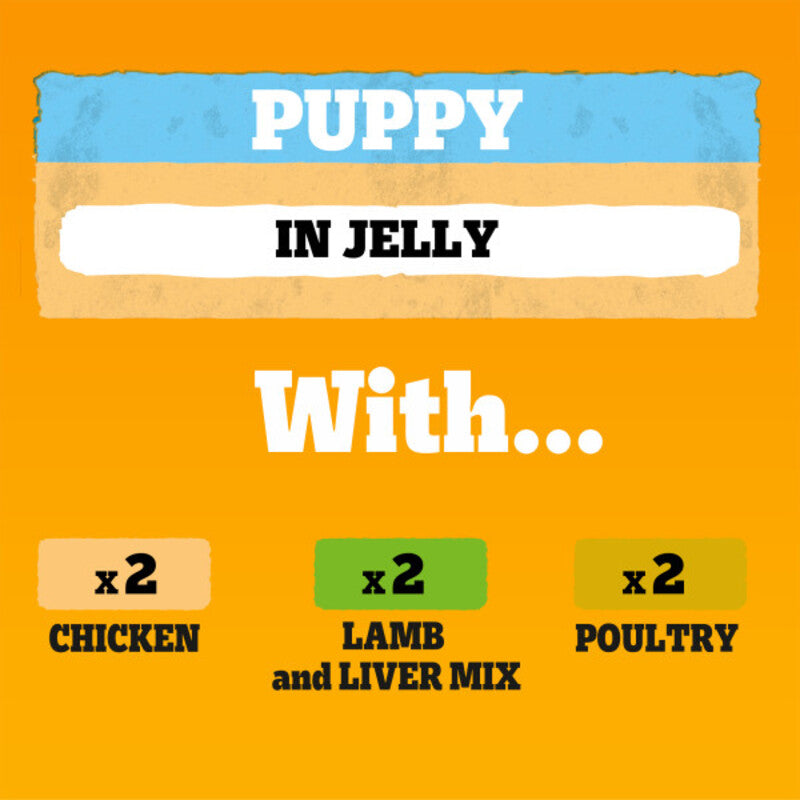 Pedigree Tins Puppy Mixed Selection in Jelly 400g x 6 x 4