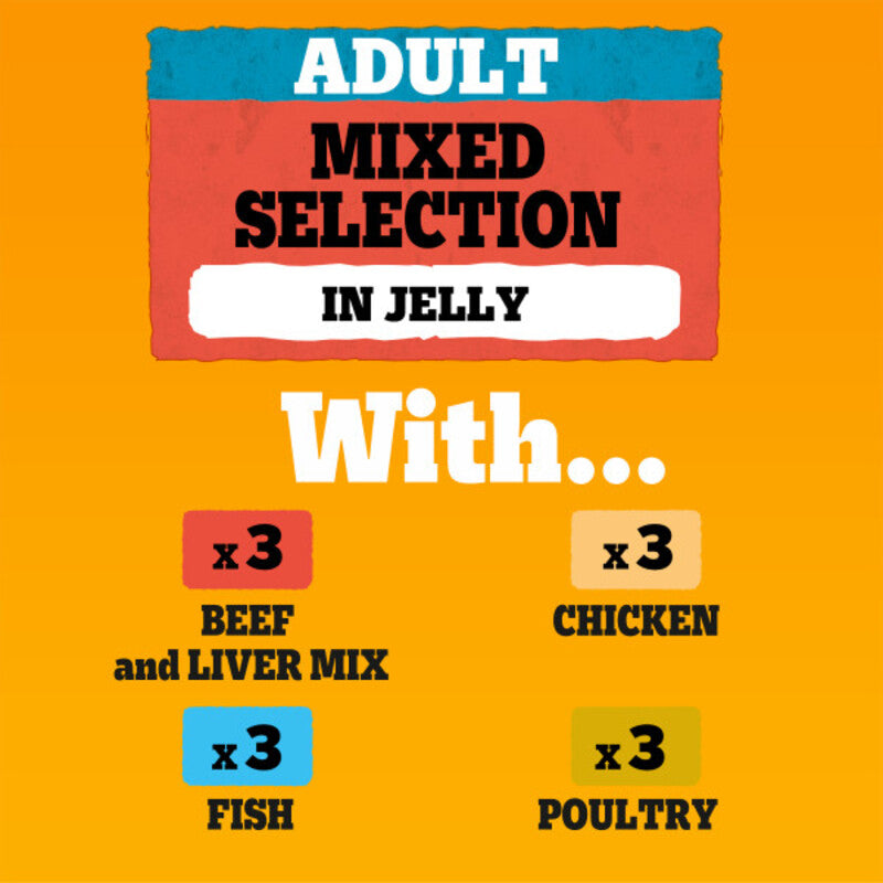 Pedigree Adult Mixed Selection in Jelly 100g x 12 x 4