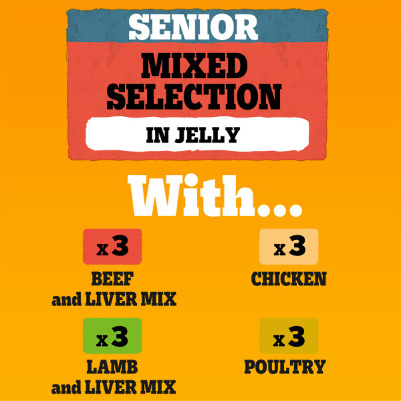 Pedigree Senior Mixed Selection in Jelly 100g x 12 x 4